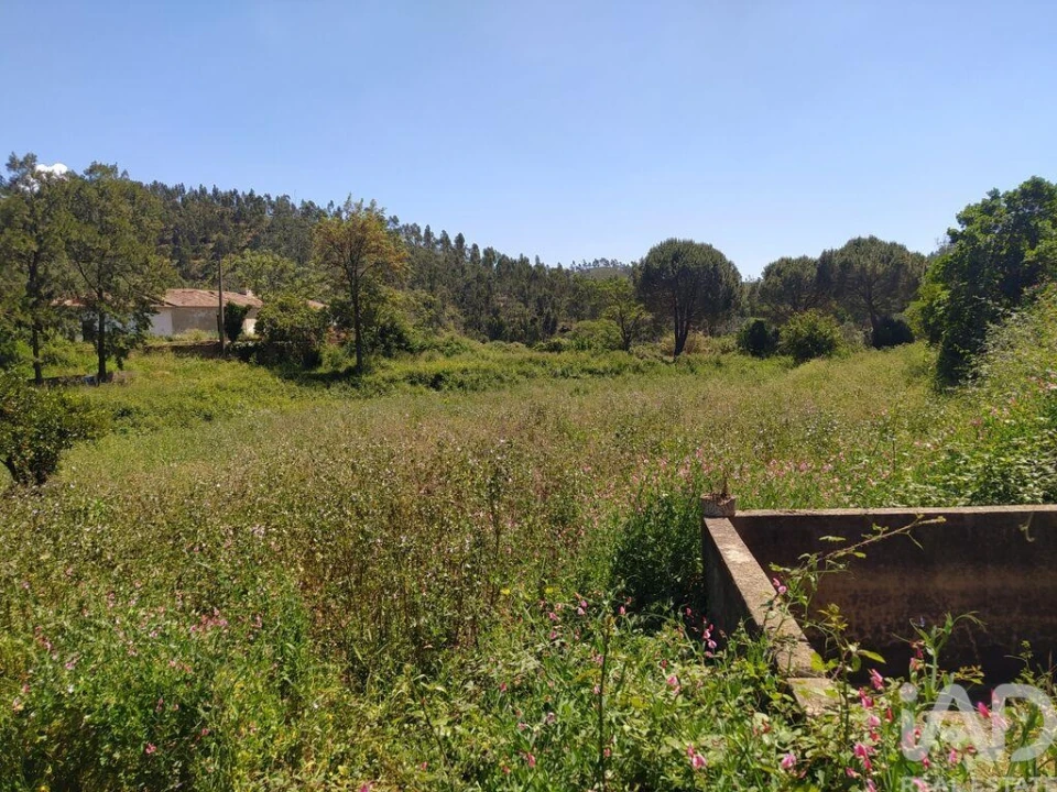 Terreno para Venda em Marmelete Foto 18