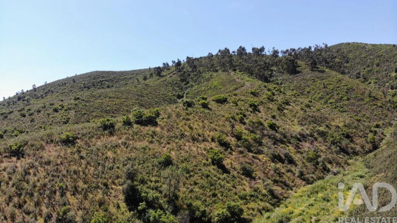 Terreno para Venda em Marmelete Foto 28