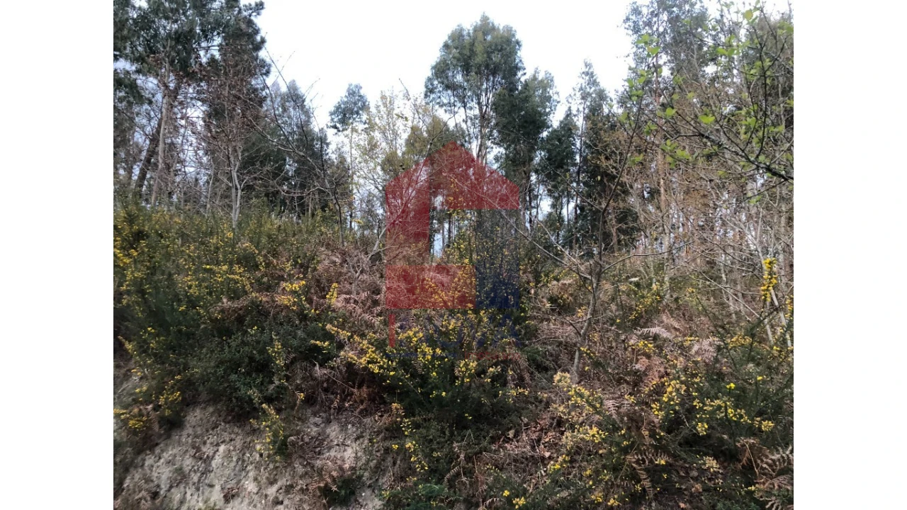 Terreno para Venda em Sande, Vilarinho, Barros e Gomide Foto 4