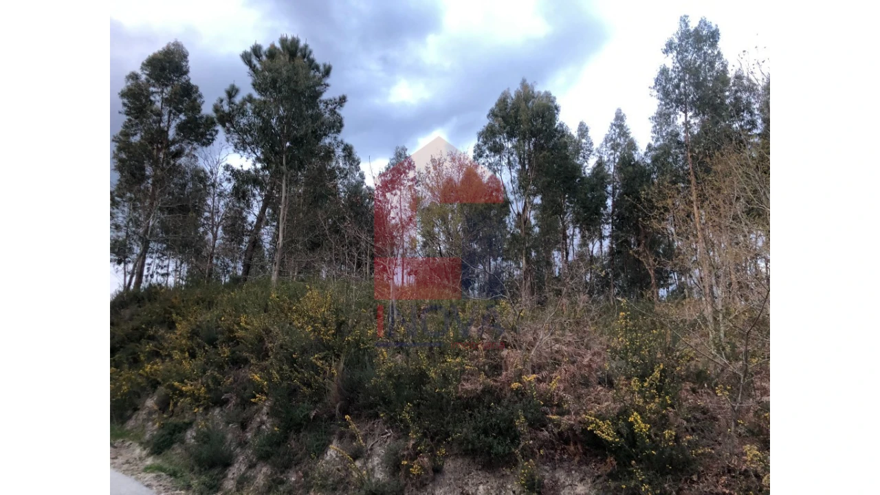 Terreno para Venda em Sande, Vilarinho, Barros e Gomide Foto 5