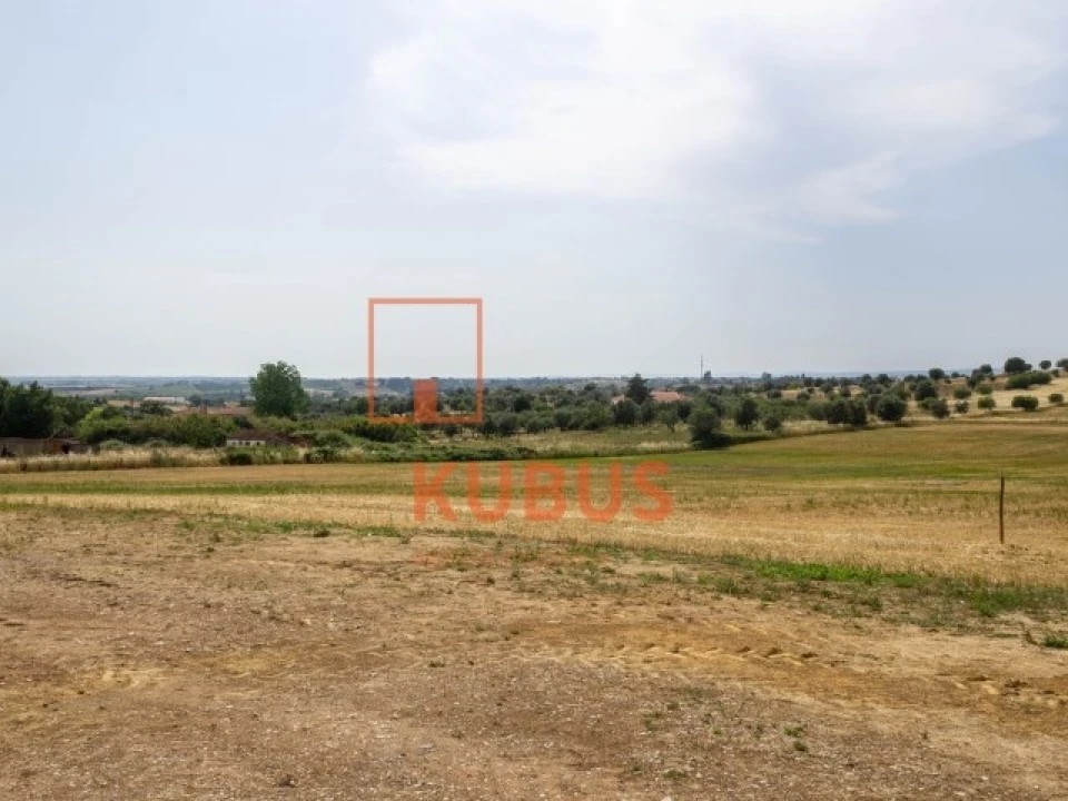 Terreno para Venda em Brogueira, Parceiros de Igreja e Alcorochel Foto 3