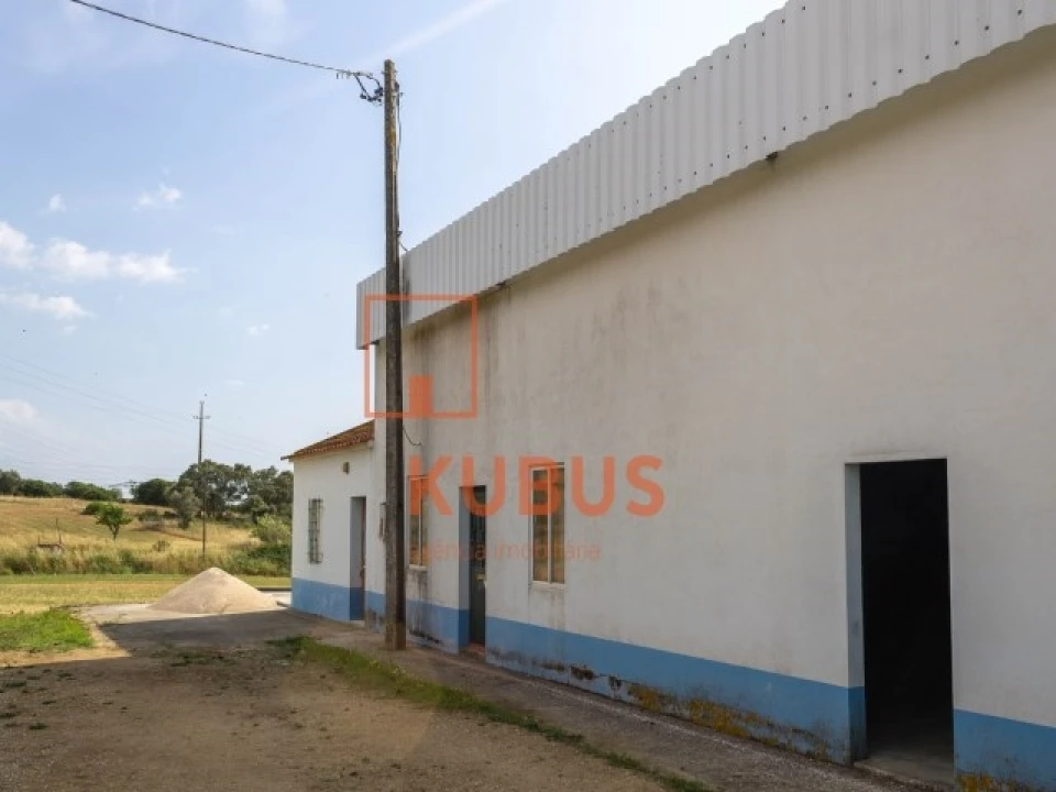 Terreno para Venda em Brogueira, Parceiros de Igreja e Alcorochel Foto 17