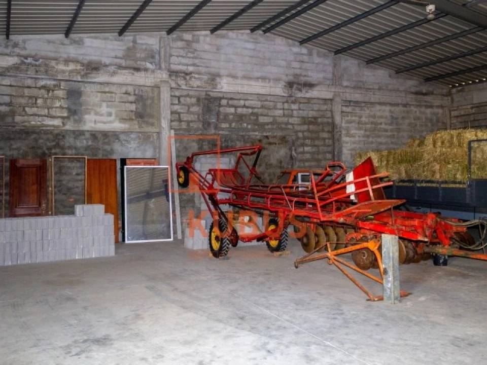 Terreno para Venda em Brogueira, Parceiros de Igreja e Alcorochel Foto 15