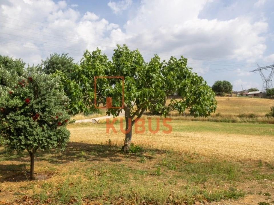 Terreno para Venda em Brogueira, Parceiros de Igreja e Alcorochel Foto 5