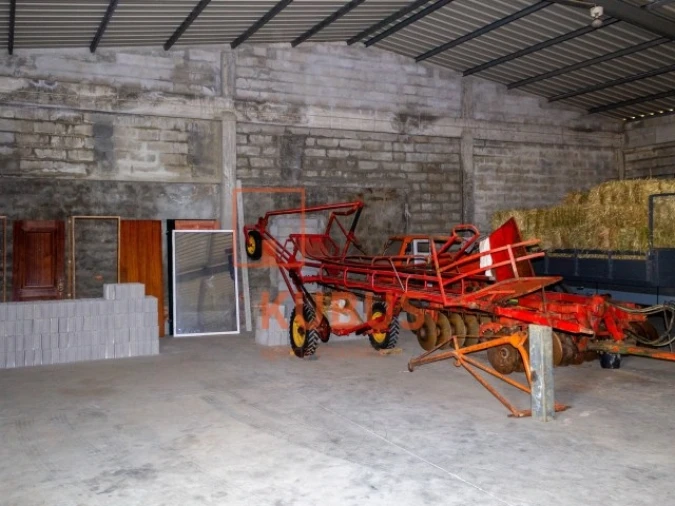 Terreno para Venda em Brogueira, Parceiros de Igreja e Alcorochel Foto 15