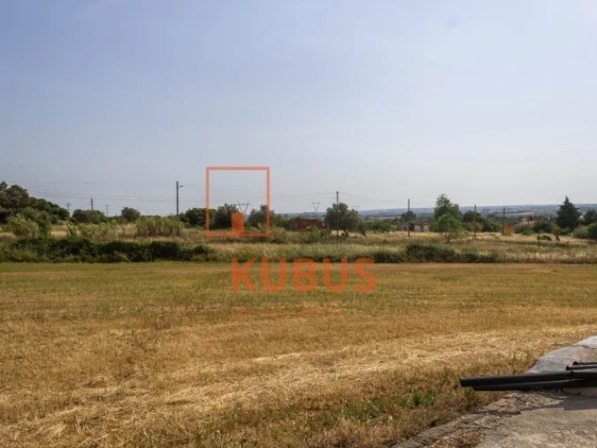 Terreno para Venda em Brogueira, Parceiros de Igreja e Alcorochel Foto 4