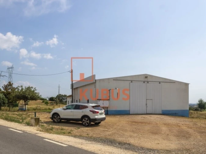 Terreno para Venda em Brogueira, Parceiros de Igreja e Alcorochel Foto 8