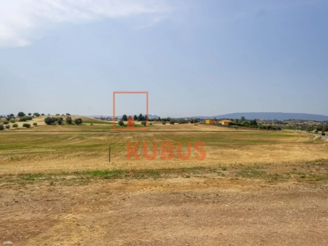 Terreno para Venda em Brogueira, Parceiros de Igreja e Alcorochel Foto 1