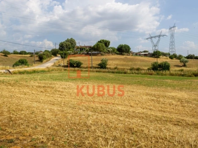 Terreno para Venda em Brogueira, Parceiros de Igreja e Alcorochel Foto 2