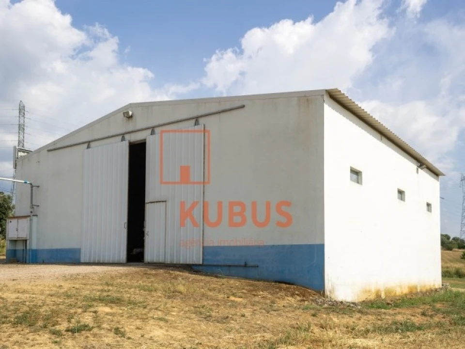 Terreno para Venda em Brogueira, Parceiros de Igreja e Alcorochel Foto 18