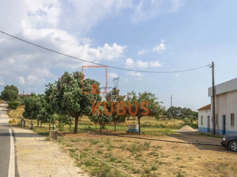 Terreno para Venda em Brogueira, Parceiros de Igreja e Alcorochel Foto 7