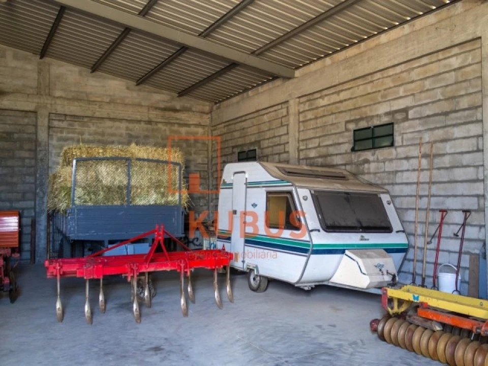Terreno para Venda em Brogueira, Parceiros de Igreja e Alcorochel Foto 13