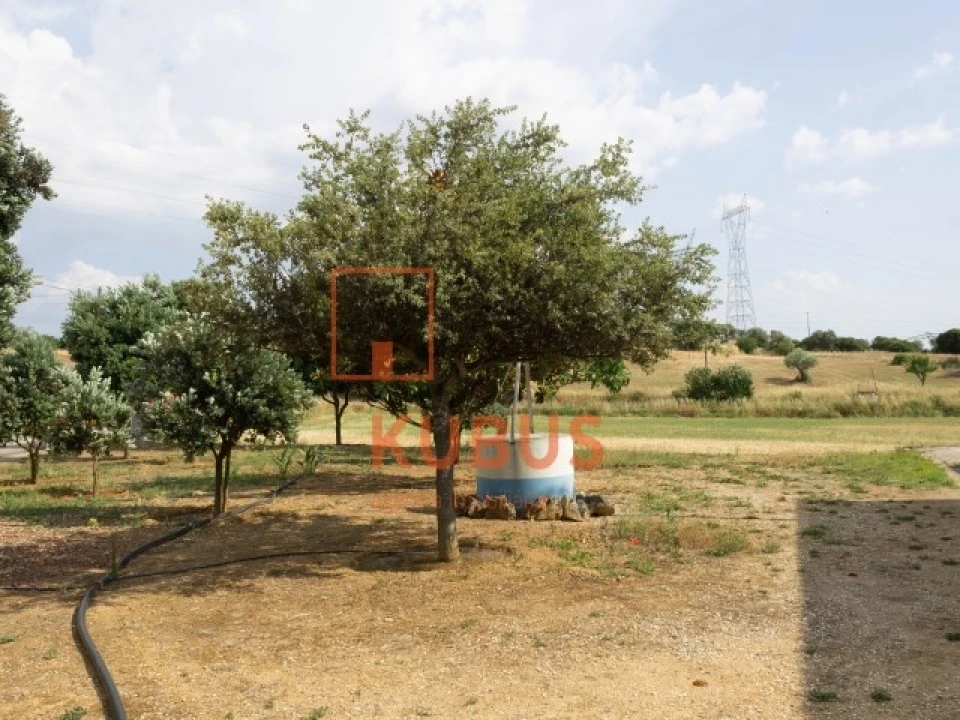 Terreno para Venda em Brogueira, Parceiros de Igreja e Alcorochel Foto 6