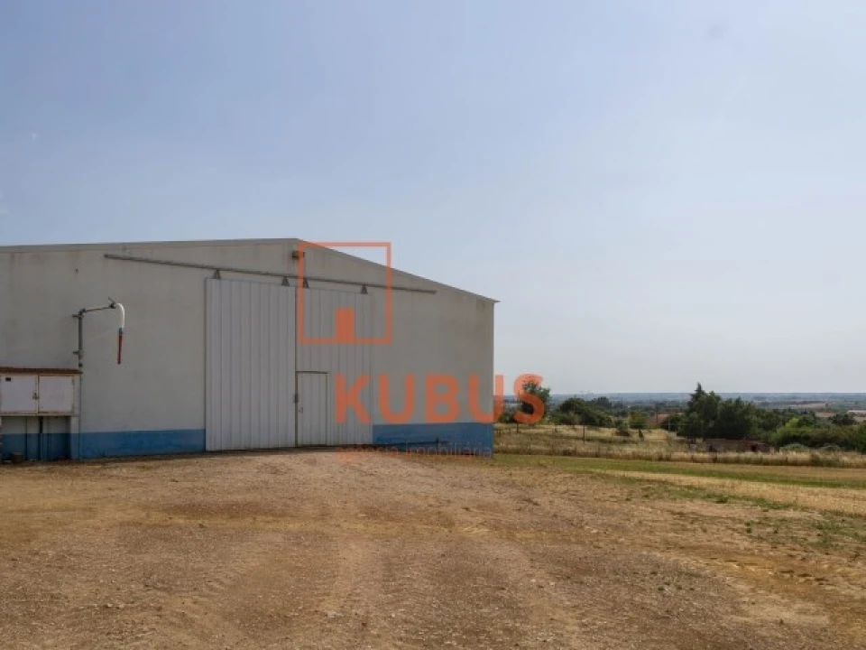 Terreno para Venda em Brogueira, Parceiros de Igreja e Alcorochel Foto 19