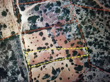 Terreno Agricola ou Rústico para Venda em Moncarapacho e Fuseta