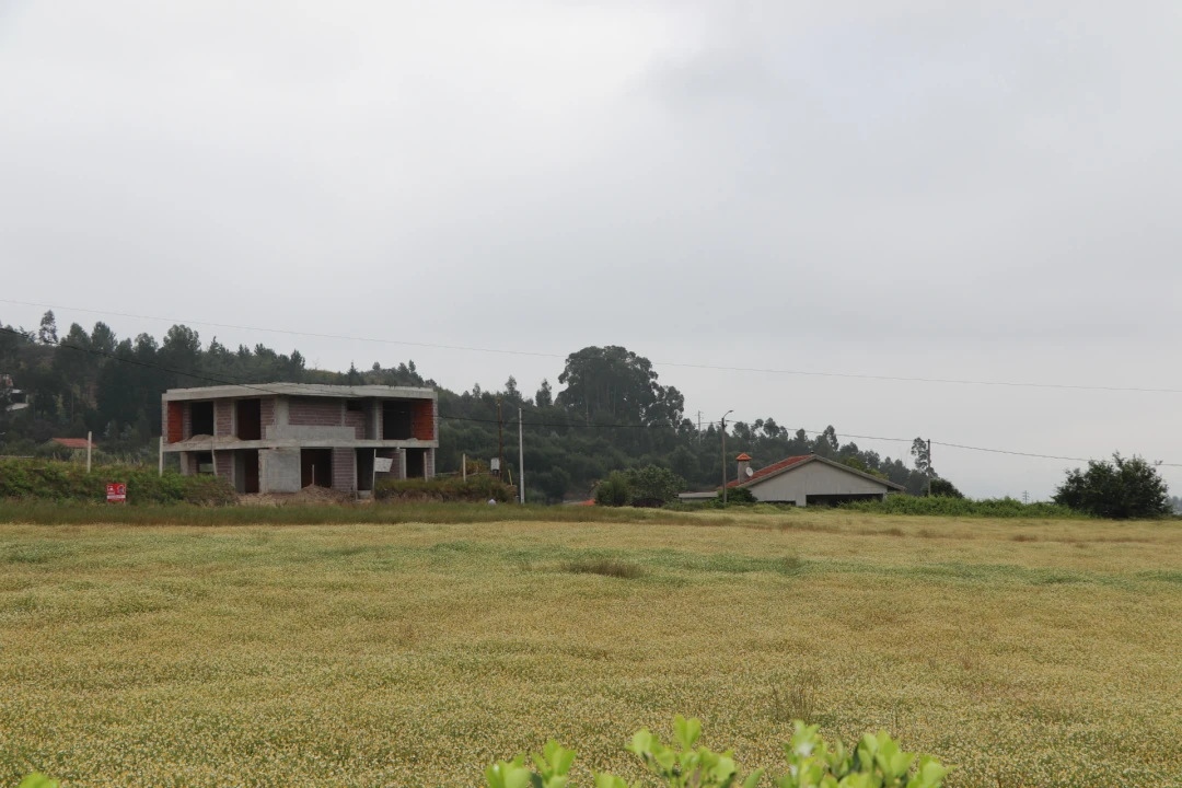 Terreno para Venda em Lustosa e Barrosas (Santo Estêvão) Foto 1