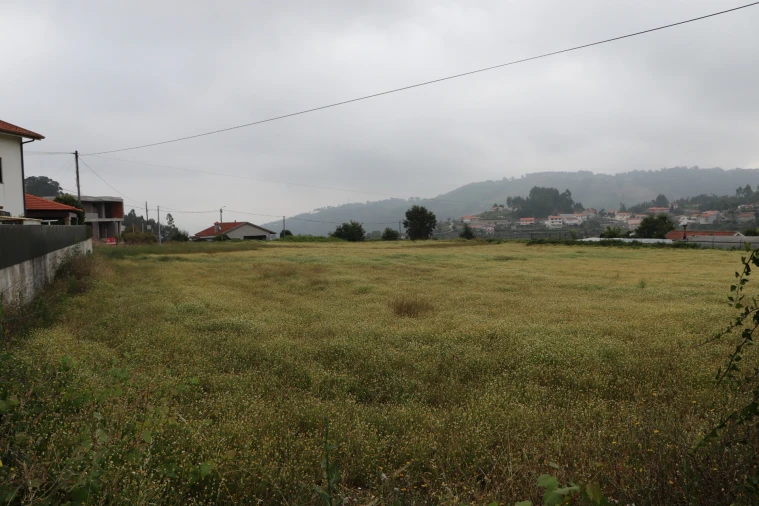 Terreno para Venda em Lustosa e Barrosas (Santo Estêvão) Foto 6