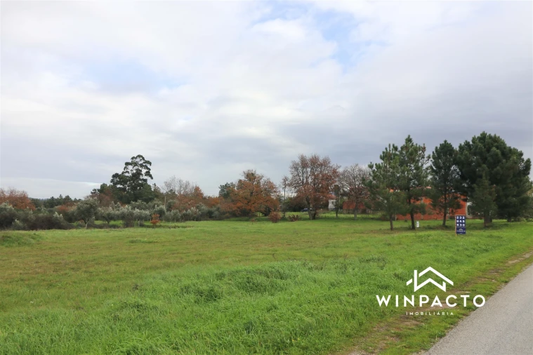 Terreno para Venda em Paranhos Foto 3