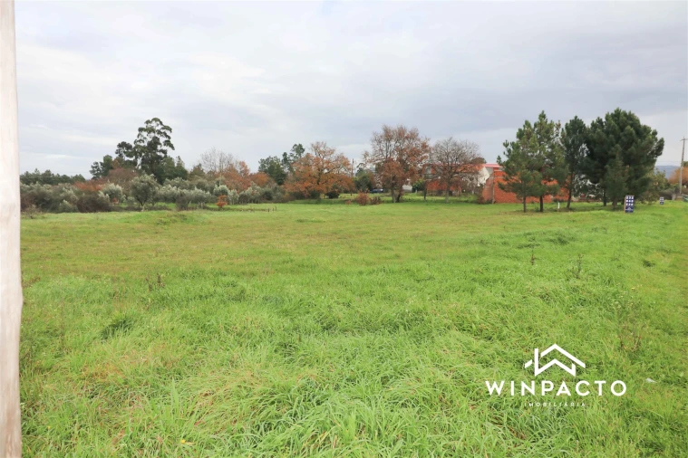Terreno para Venda em Paranhos Foto 6