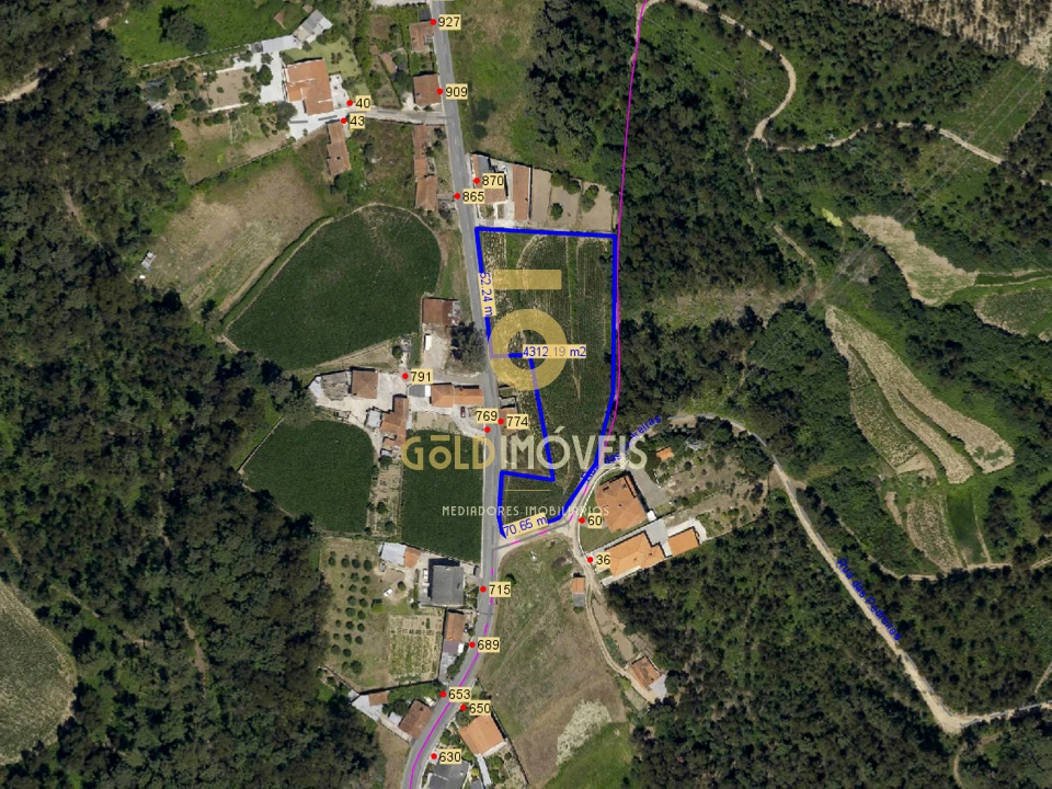 Terreno para Venda em São Martinho da Gandara Foto 8