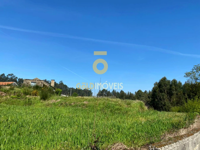Terreno para Venda em São Martinho da Gandara Foto 6