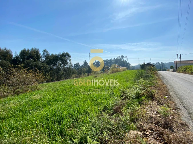 Terreno para Venda em São Martinho da Gandara Foto 3