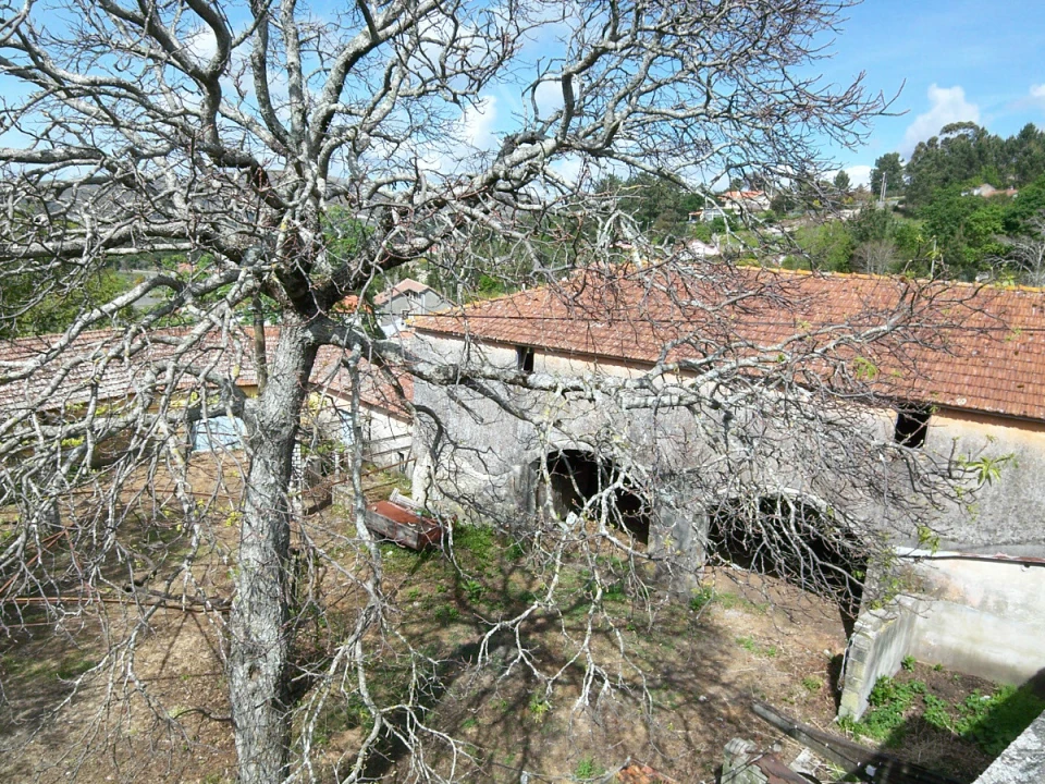 Quinta T9 para Venda em Ancora Foto 19