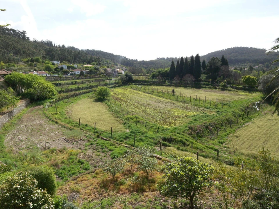 Quinta T9 para Venda em Ancora Foto 23