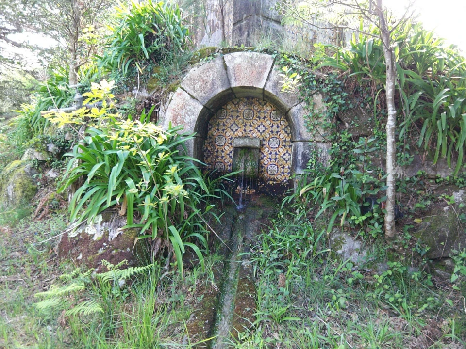 Quinta T9 para Venda em Ancora Foto 20