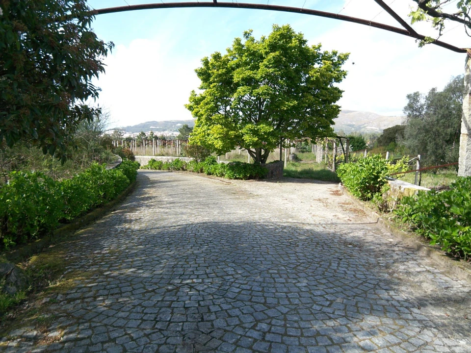 Quinta T9 para Venda em Ancora Foto 31