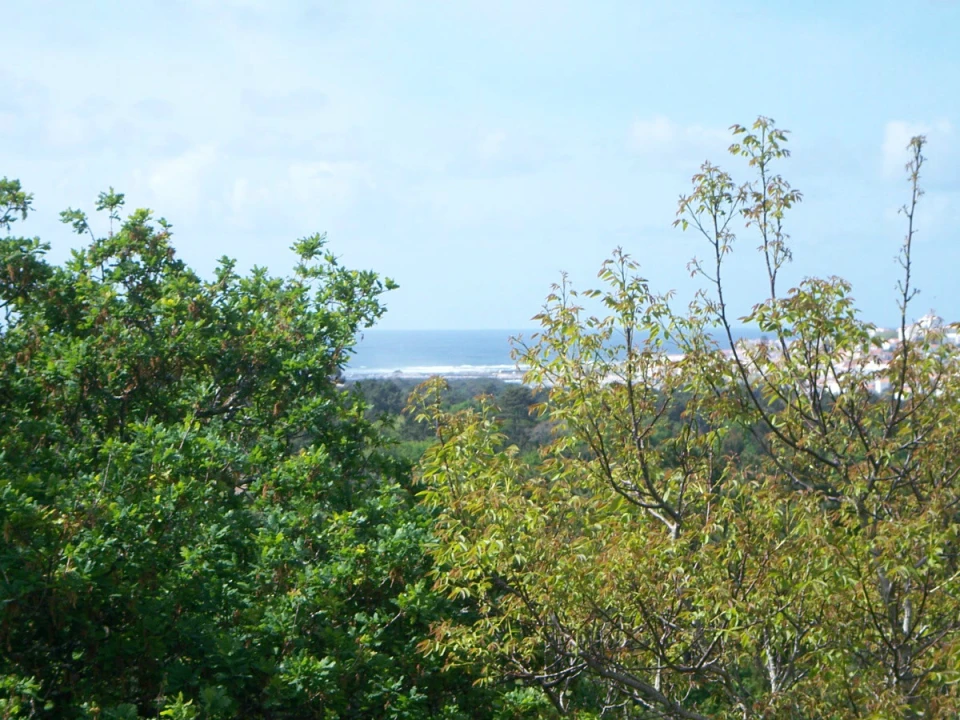 Quinta T9 para Venda em Ancora Foto 30