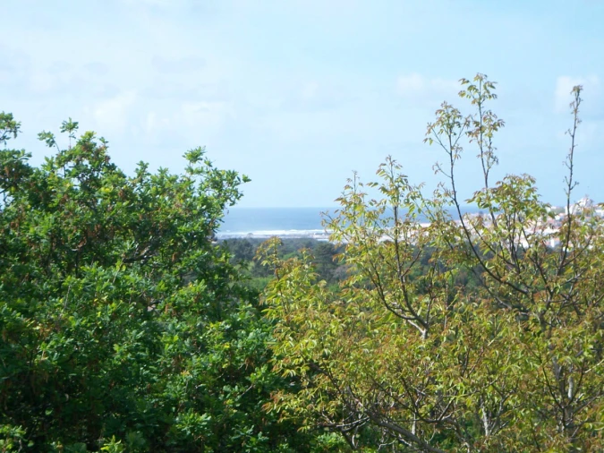 Quinta T9 para Venda em Ancora Foto 30