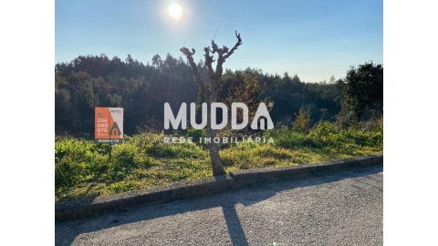 Terreno para Venda em Nogueira do Cravo e Pindelo