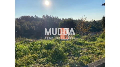 Terreno para Venda em Nogueira do Cravo e Pindelo