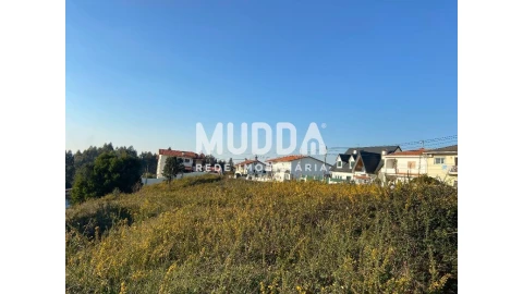 Terreno para Venda em Nogueira do Cravo e Pindelo