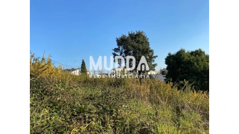 Terreno para Venda em Nogueira do Cravo e Pindelo