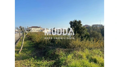 Terreno para Venda em Nogueira do Cravo e Pindelo