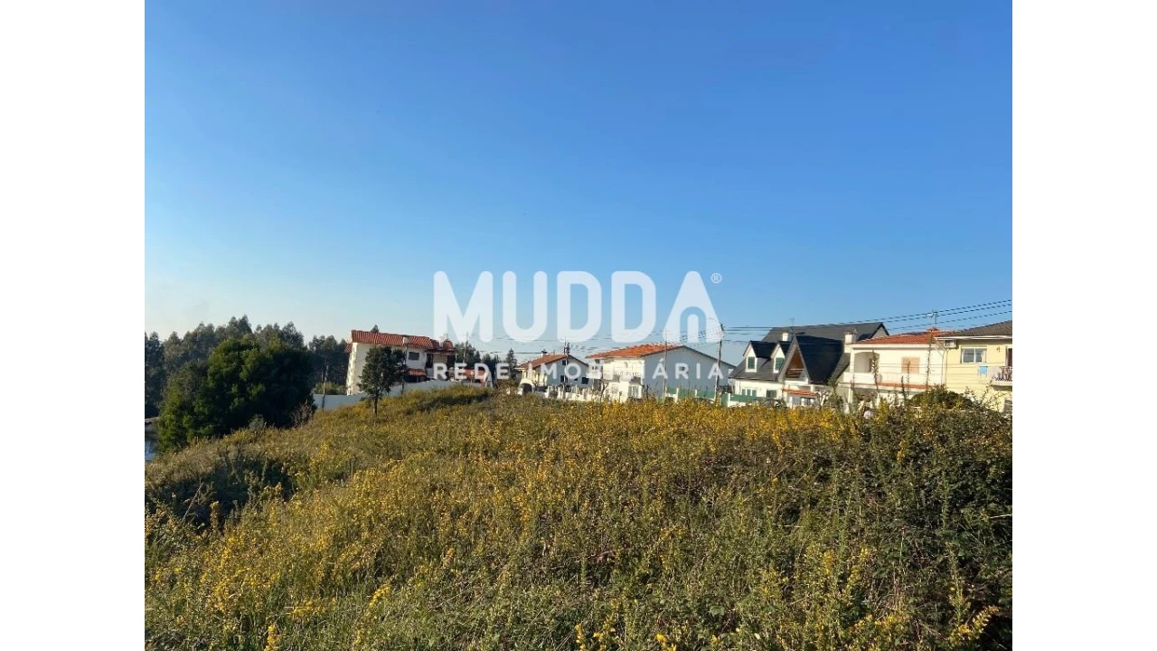 Terreno para Venda em Nogueira do Cravo e Pindelo Foto 9