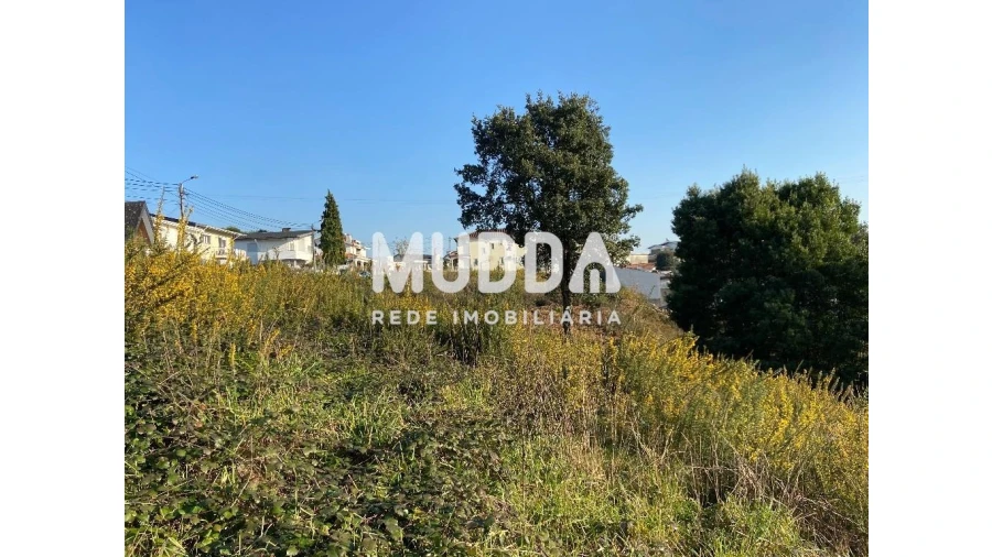 Terreno para Venda em Nogueira do Cravo e Pindelo Foto 2