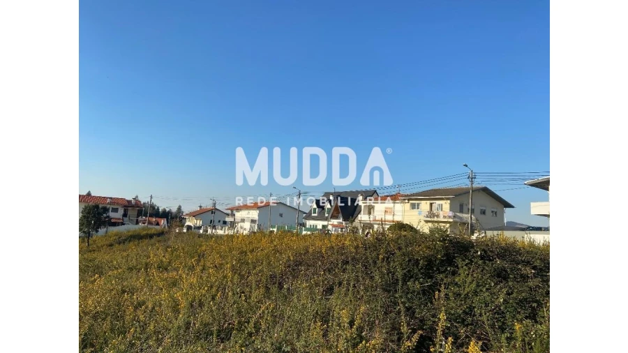 Terreno para Venda em Nogueira do Cravo e Pindelo Foto 3