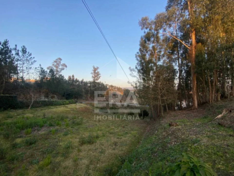 Moradia T2 para Venda em Macinhata do Vouga Foto 8