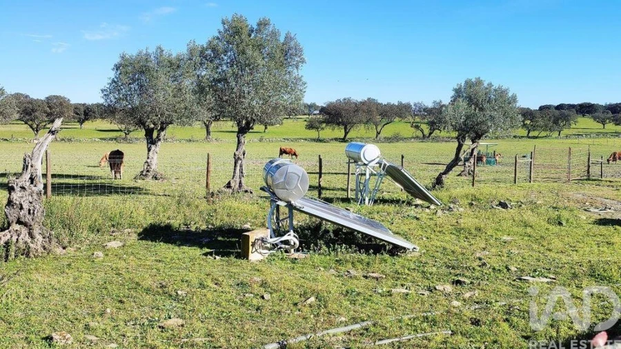 Moradia T12 para Venda em Terrugem e Vila Boim Foto 20