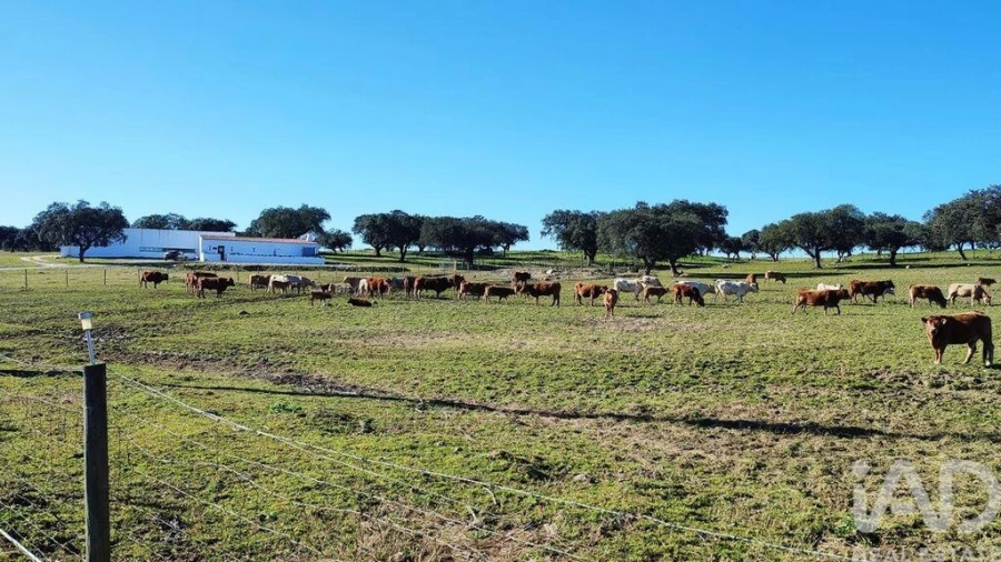 Moradia T12 para Venda em Terrugem e Vila Boim Foto 24