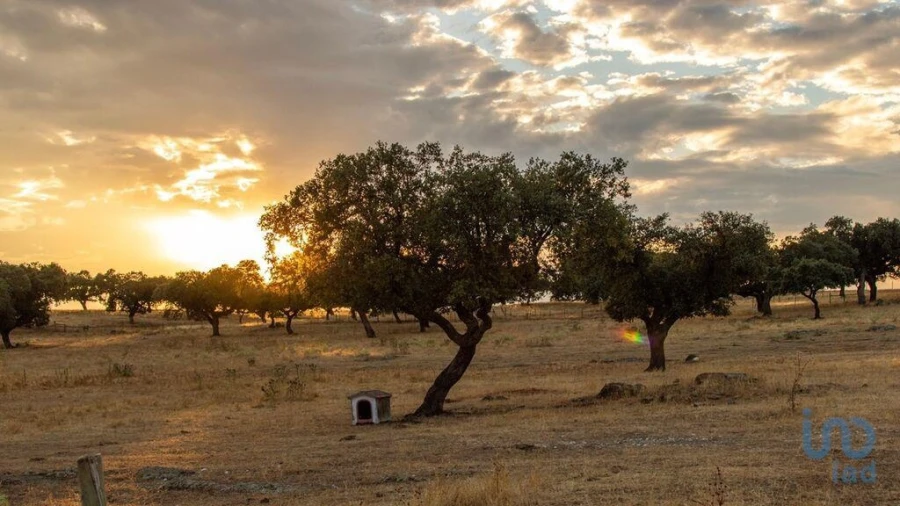 Moradia T12 para Venda em Terrugem e Vila Boim Foto 6