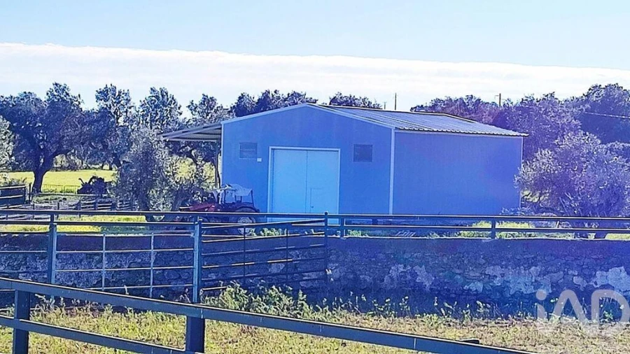 Moradia T12 para Venda em Terrugem e Vila Boim Foto 21