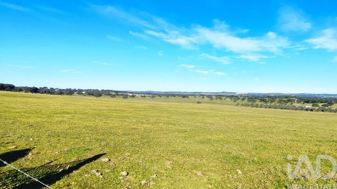 Moradia T12 para Venda em Terrugem e Vila Boim Foto 30