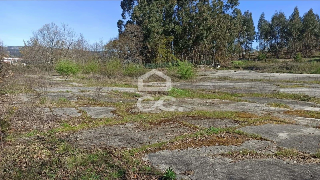 Terreno para Venda em Fafe Foto 9