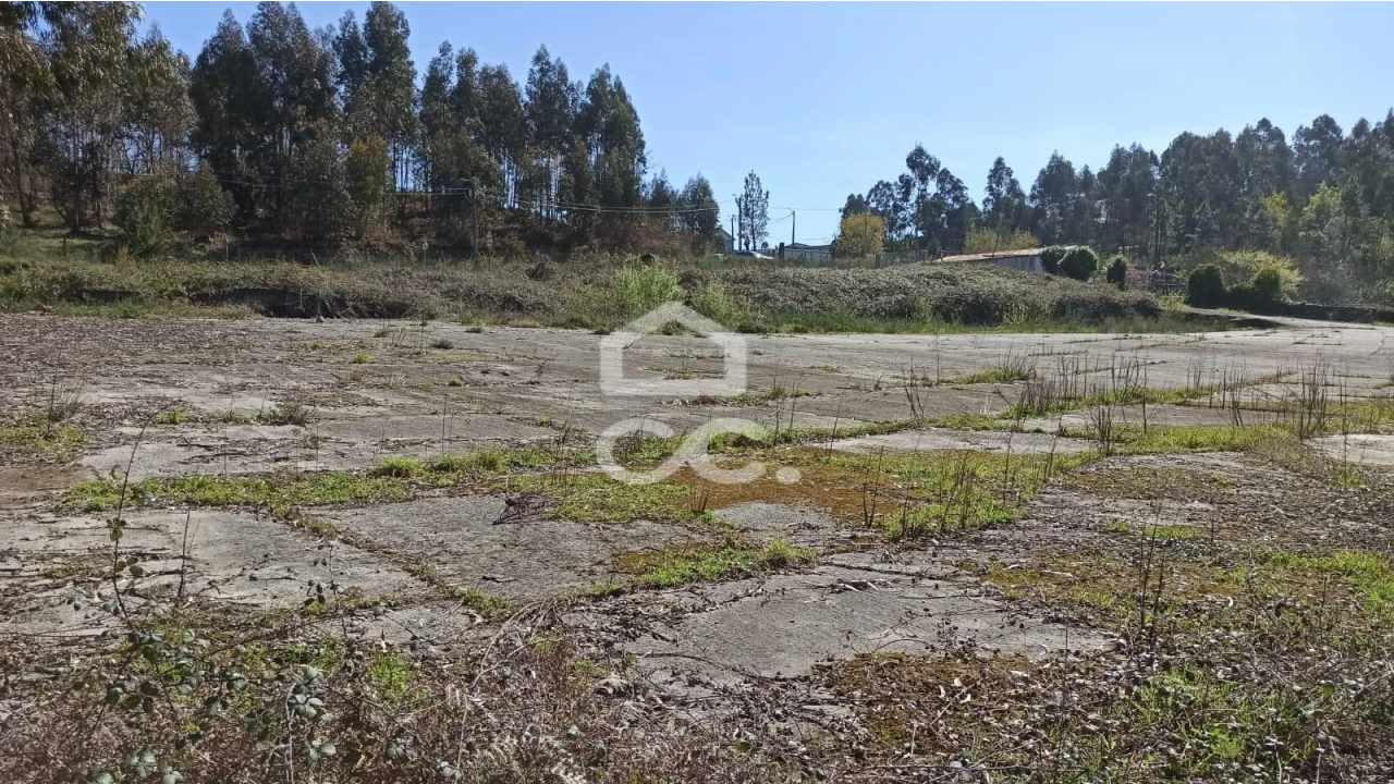 Terreno para Venda em Fafe Foto 13