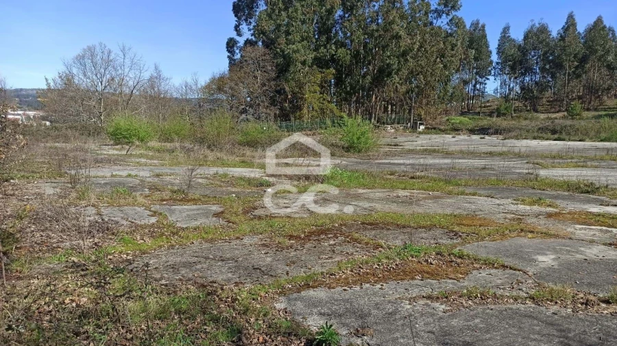 Terreno para Venda em Fafe Foto 9