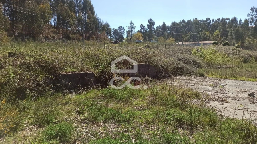 Terreno para Venda em Fafe Foto 14
